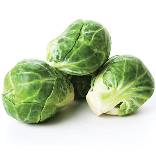 BRUSSELS SPROUT