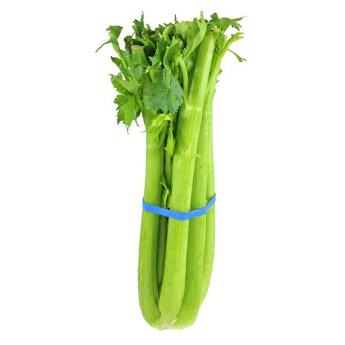 CELERY