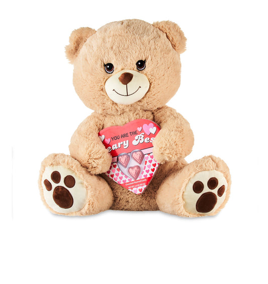 Valentines teddy bear