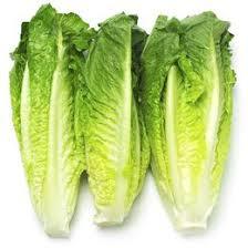 ROMAINE LETTUCE (3 HEADS)