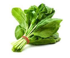 SPINACH (1 BUNCH)